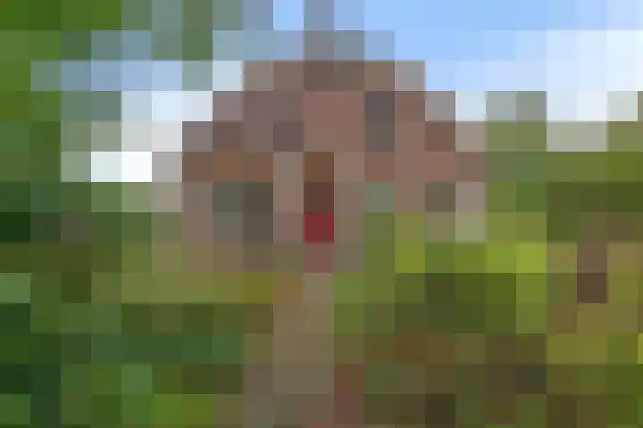 Leggelerstraat 8 Dwingeloo thumbnail 6