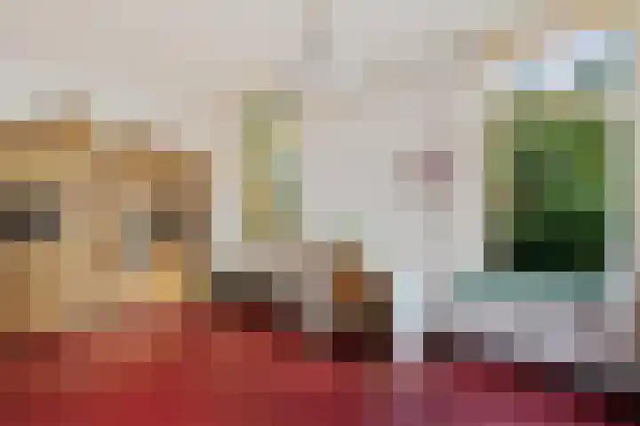 Leggelerstraat 8 Dwingeloo thumbnail 8