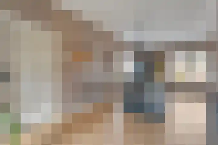 Leggeloo 1 Dwingeloo thumbnail 12