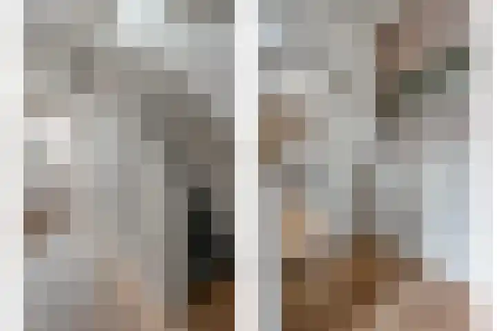 Leggeloo 1 Dwingeloo thumbnail 20