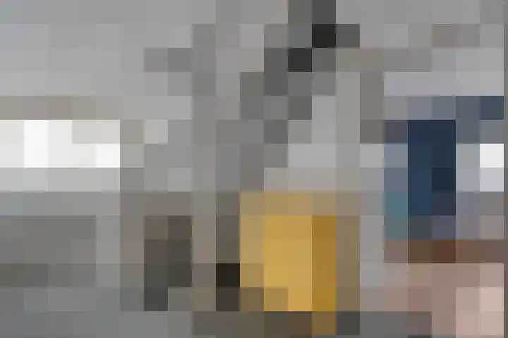 Leggeloo 1 Dwingeloo thumbnail 29