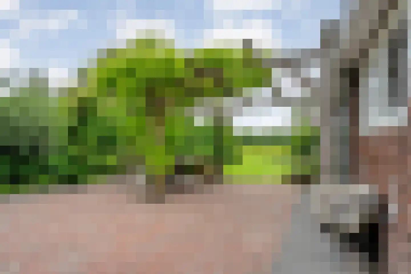 Leggeloo 1 Dwingeloo thumbnail 36