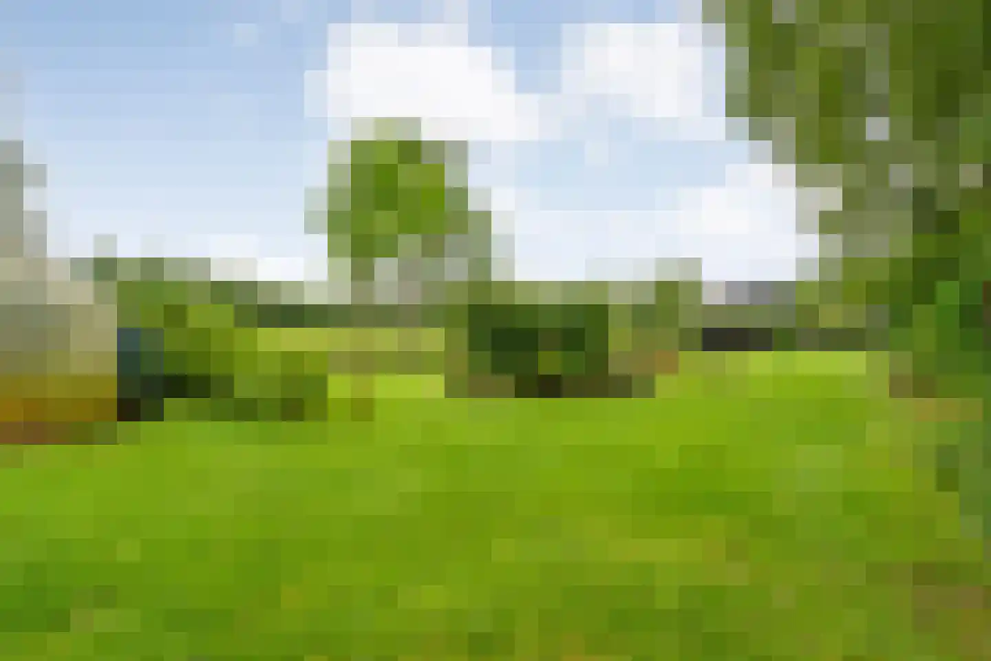 Leggeloo 1 Dwingeloo thumbnail 43