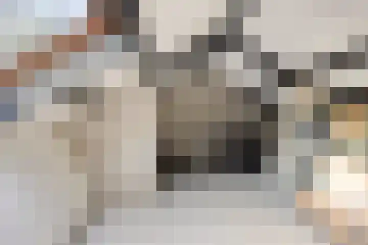 Leggeloo 1 Dwingeloo thumbnail 44