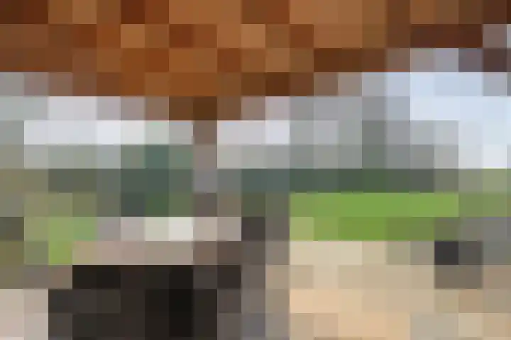 Leggeloo 1 Dwingeloo thumbnail 44
