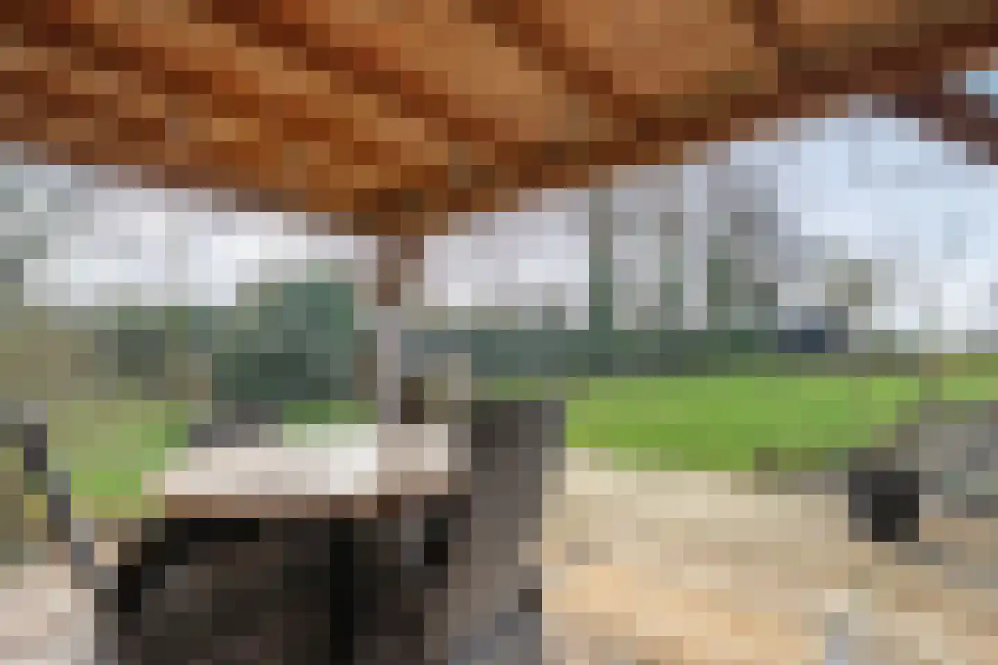 Leggeloo 1 Dwingeloo thumbnail 45