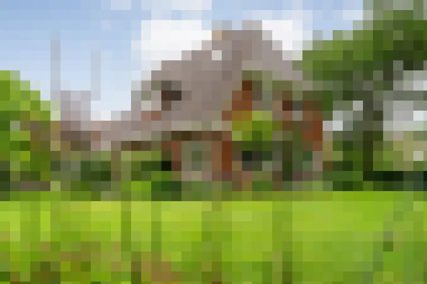 Leggeloo 1 Dwingeloo thumbnail 47