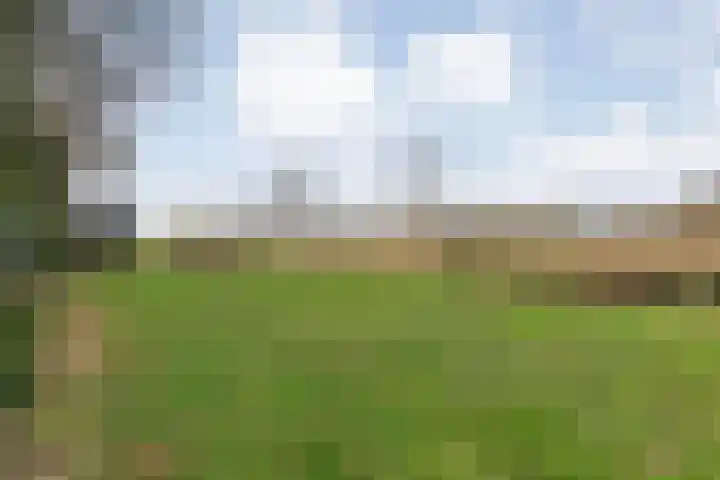 Leggeloo 1 Dwingeloo thumbnail 50
