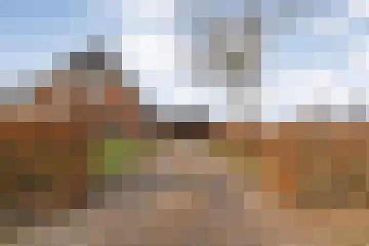 Leggeloo 1 Dwingeloo thumbnail 56