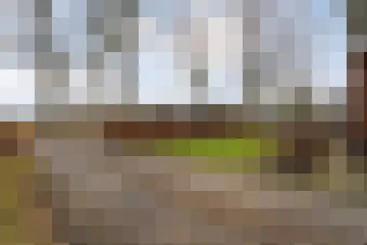 Leggeloo 1 Dwingeloo thumbnail 59