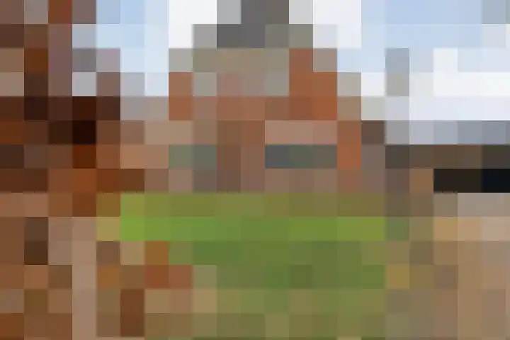 Leggeloo 1 Dwingeloo thumbnail 61
