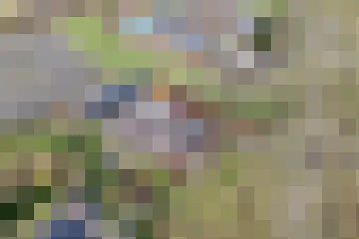 Leggeloo 1 Dwingeloo thumbnail 62