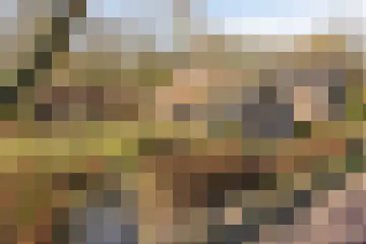 Leggeloo 36 Dwingeloo