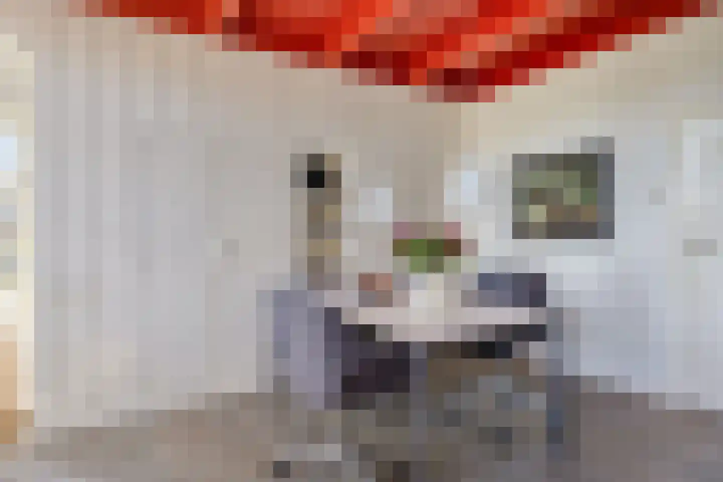 Leggeloo 36 Dwingeloo thumbnail 12