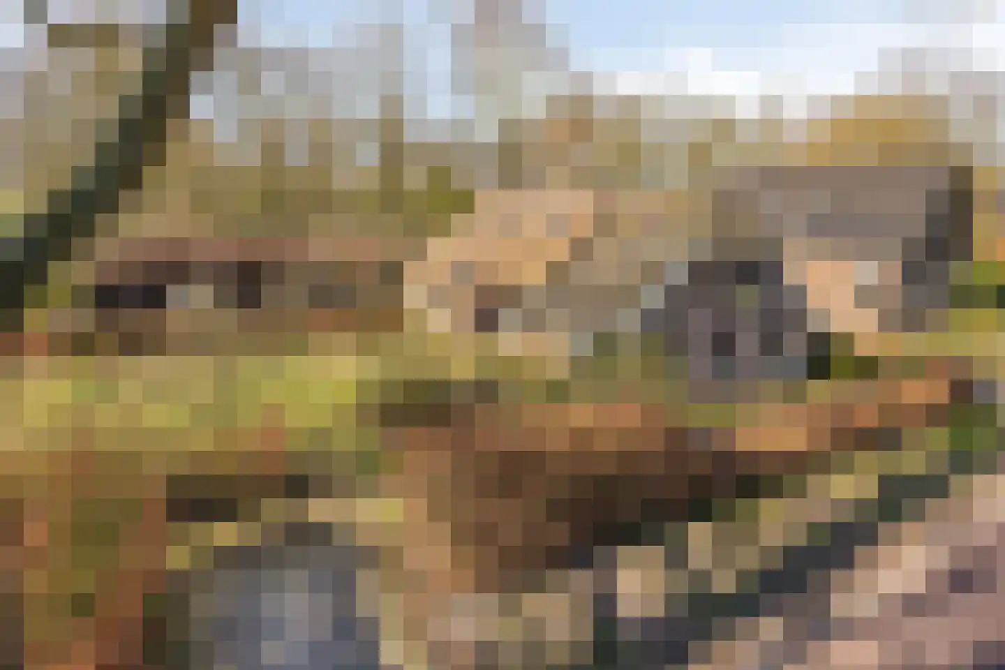 Leggeloo 36 Dwingeloo thumbnail 25