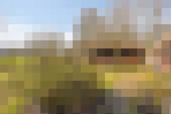 Leggeloo 36 Dwingeloo thumbnail 25