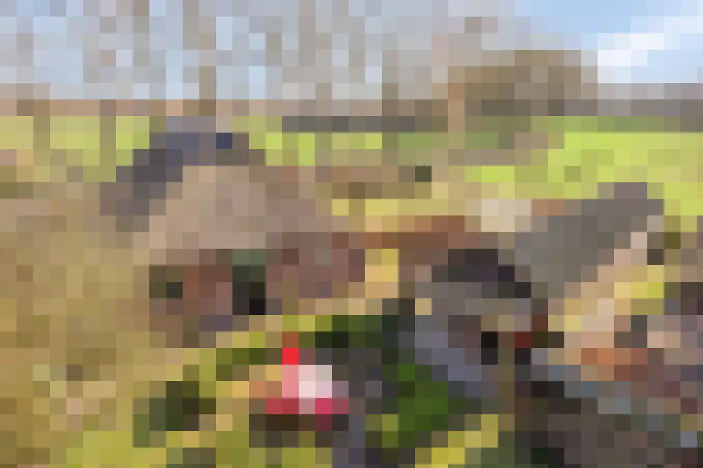 Leggeloo 36 Dwingeloo thumbnail 26