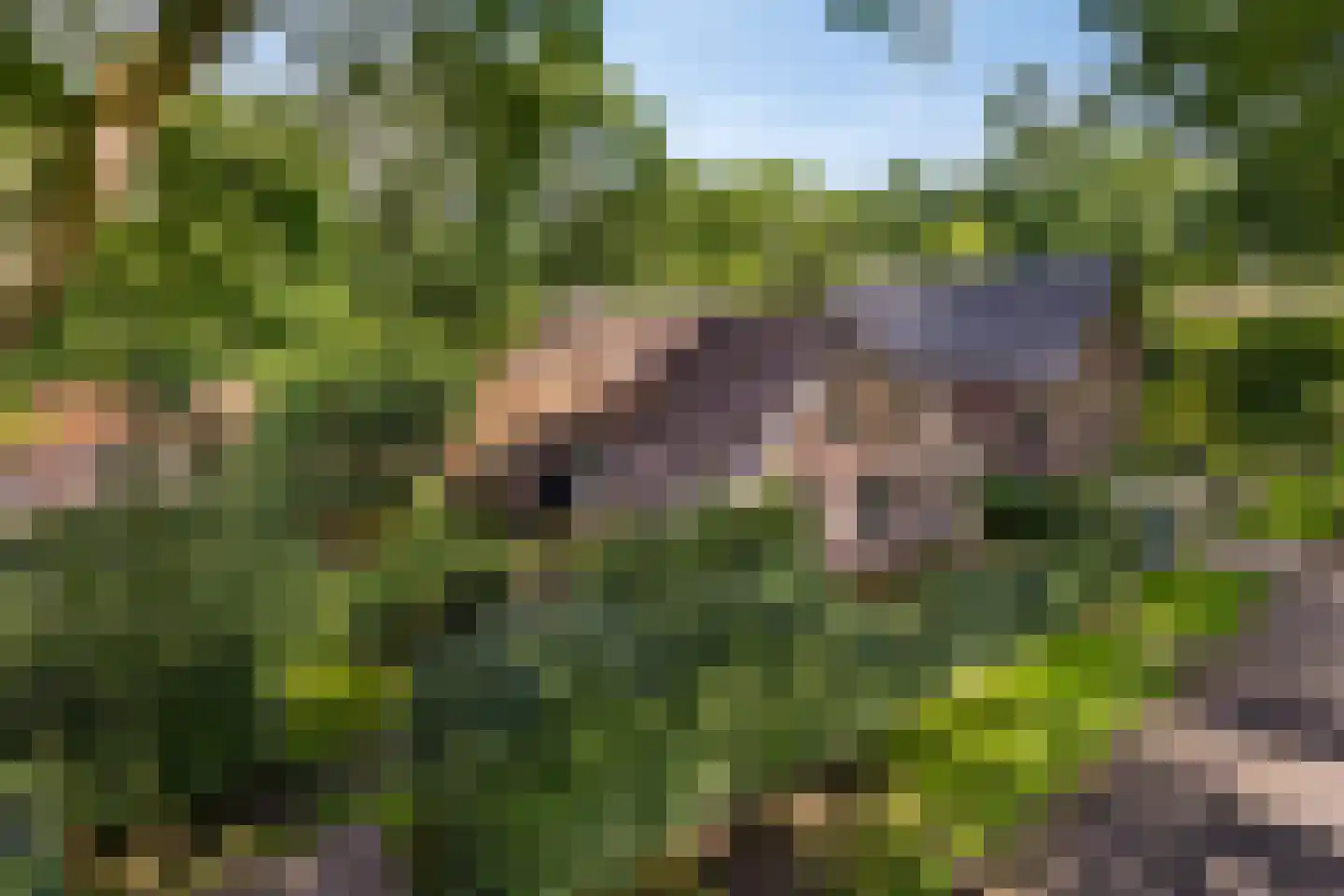 Leggeloo 36 Dwingeloo thumbnail 26