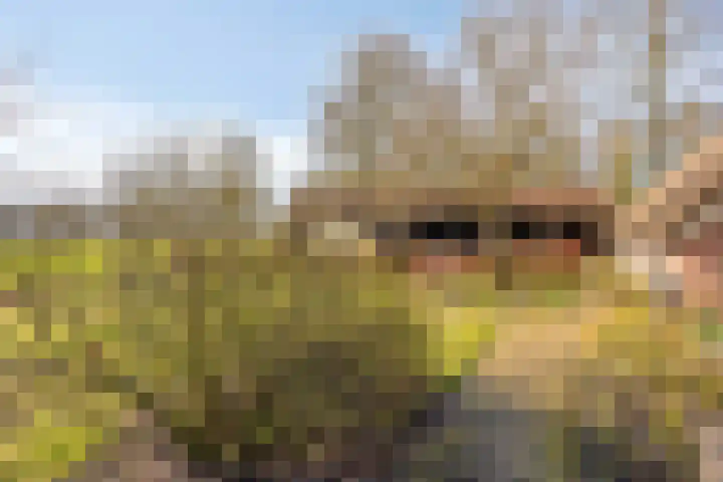 Leggeloo 36 Dwingeloo thumbnail 27