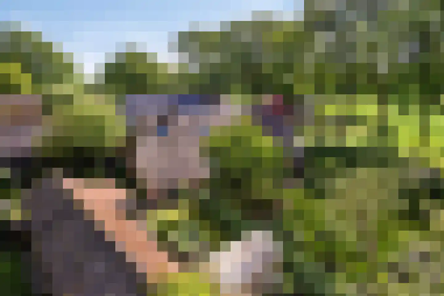 Leggeloo 36 Dwingeloo thumbnail 27