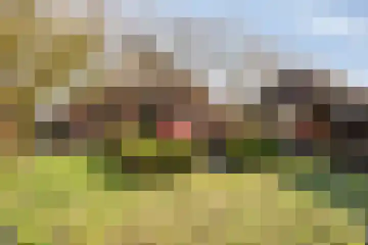 Leggeloo 36 Dwingeloo thumbnail 30