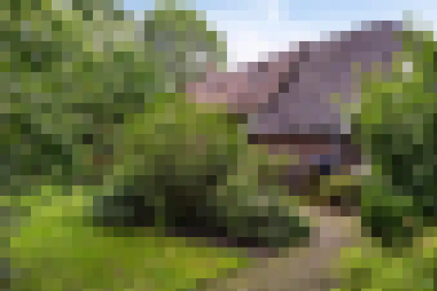 Leggeloo 36 Dwingeloo thumbnail 30
