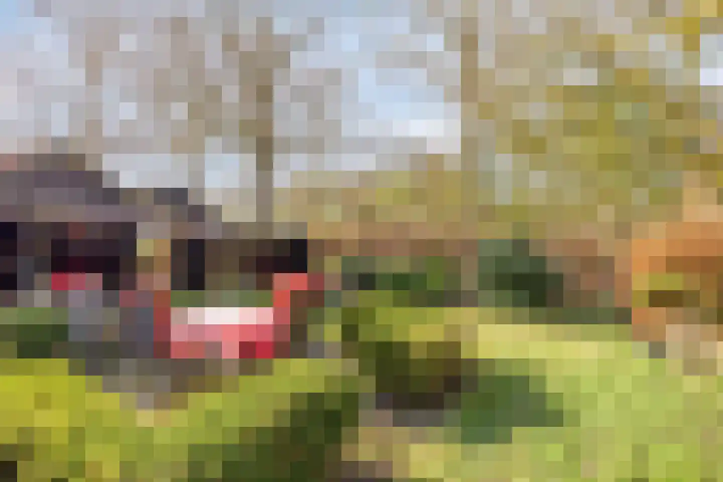 Leggeloo 36 Dwingeloo thumbnail 31