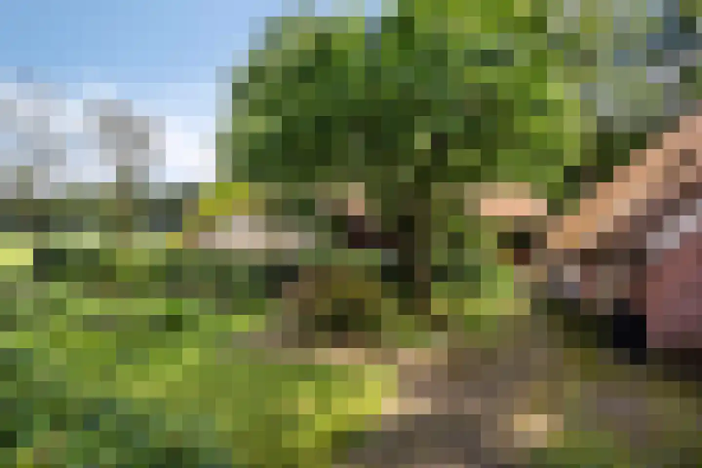 Leggeloo 36 Dwingeloo thumbnail 31