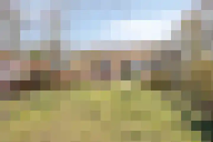 Leggeloo 36 Dwingeloo thumbnail 32