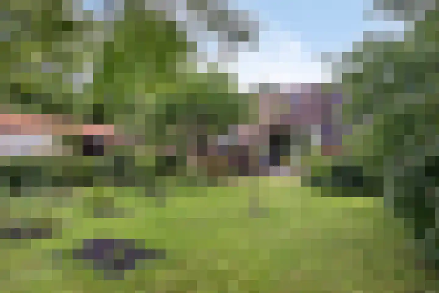 Leggeloo 36 Dwingeloo thumbnail 32
