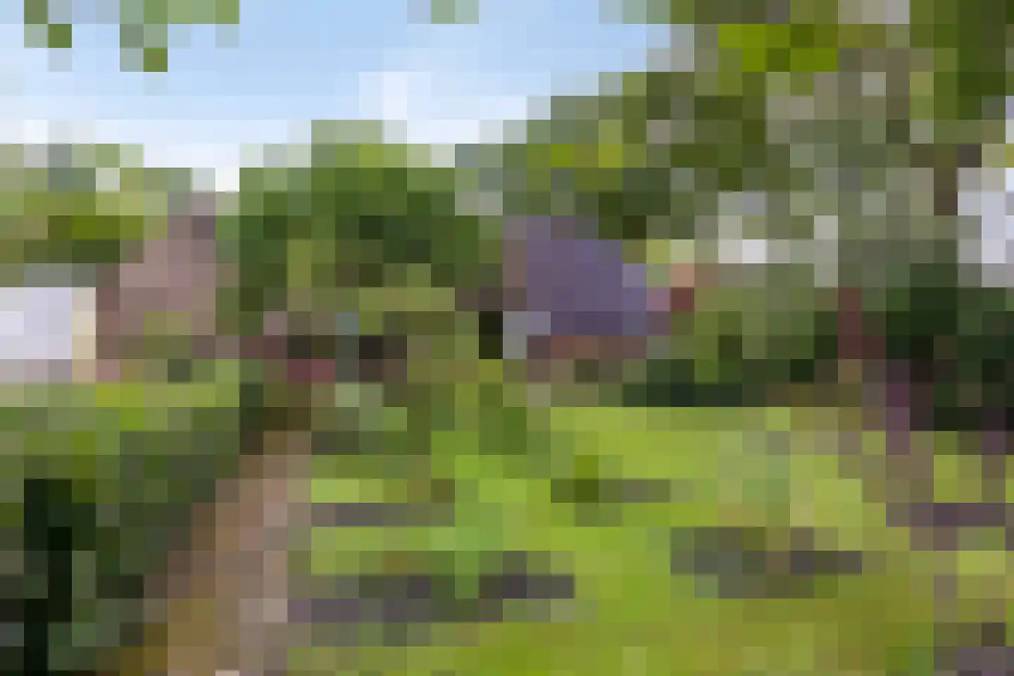 Leggeloo 36 Dwingeloo thumbnail 33