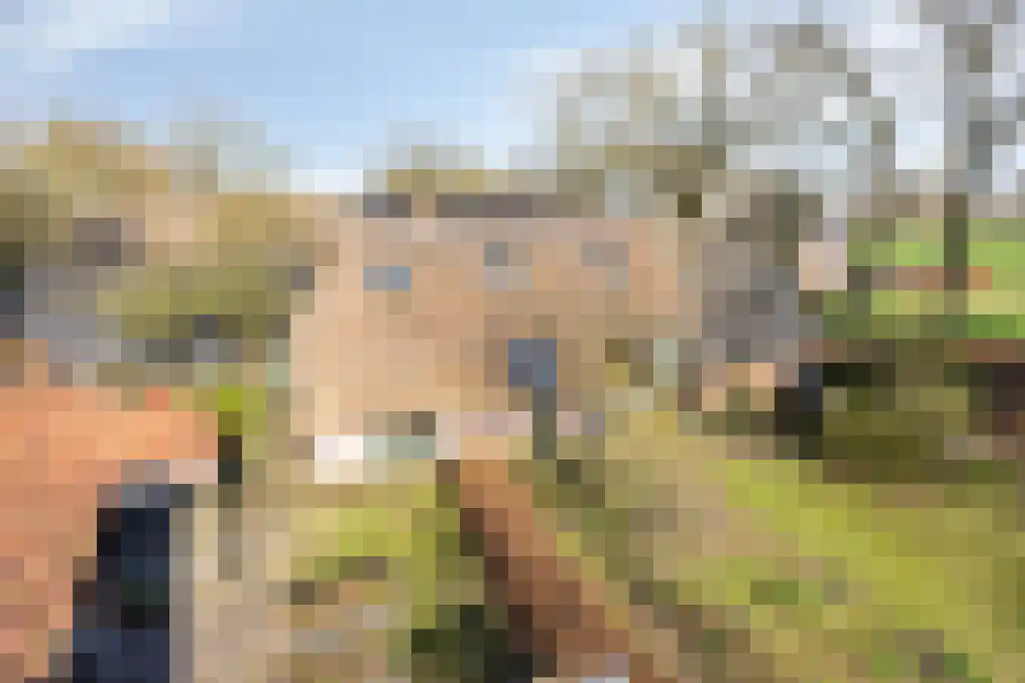 Leggeloo 36 Dwingeloo thumbnail 34