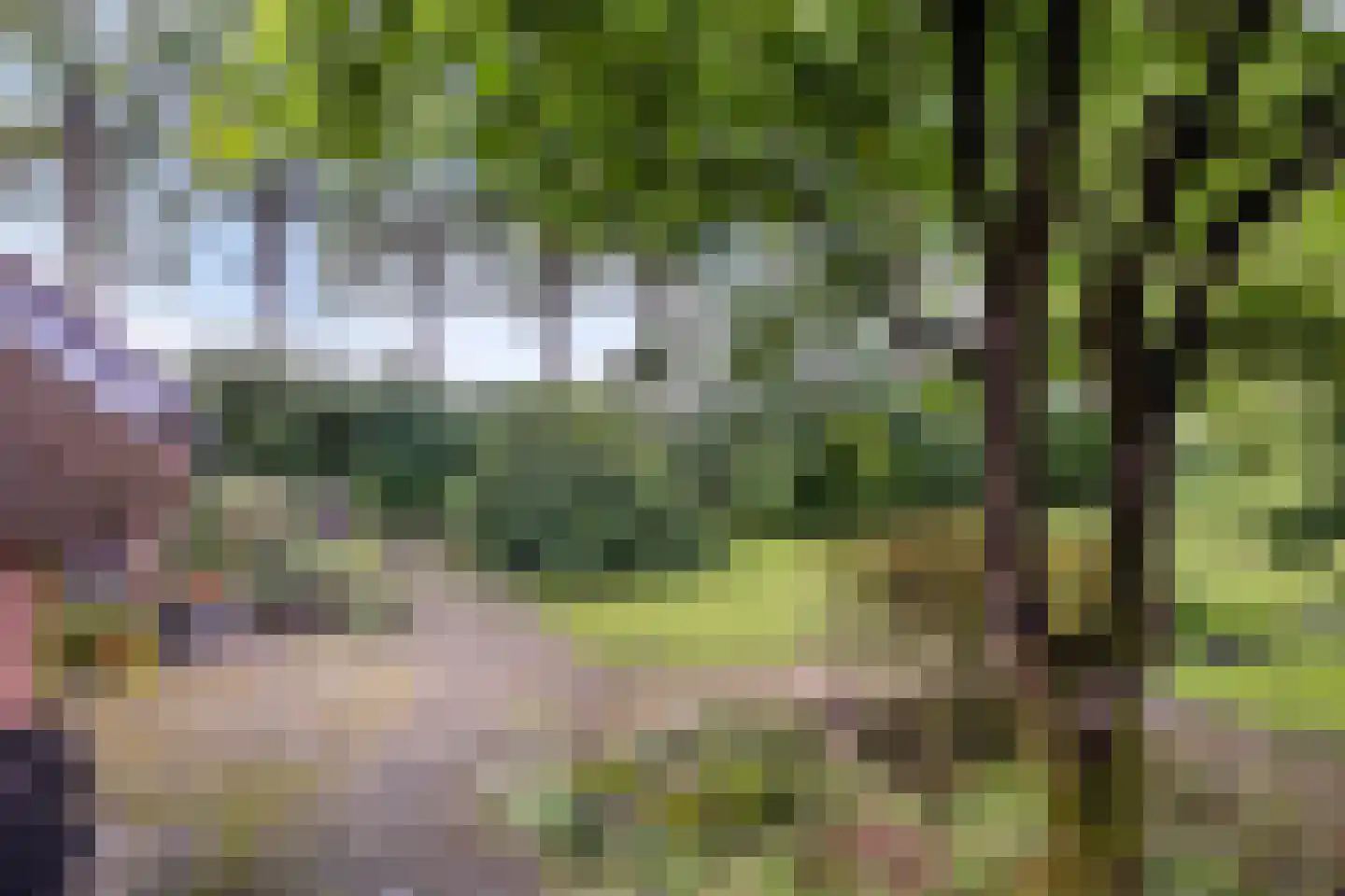 Leggeloo 36 Dwingeloo thumbnail 35