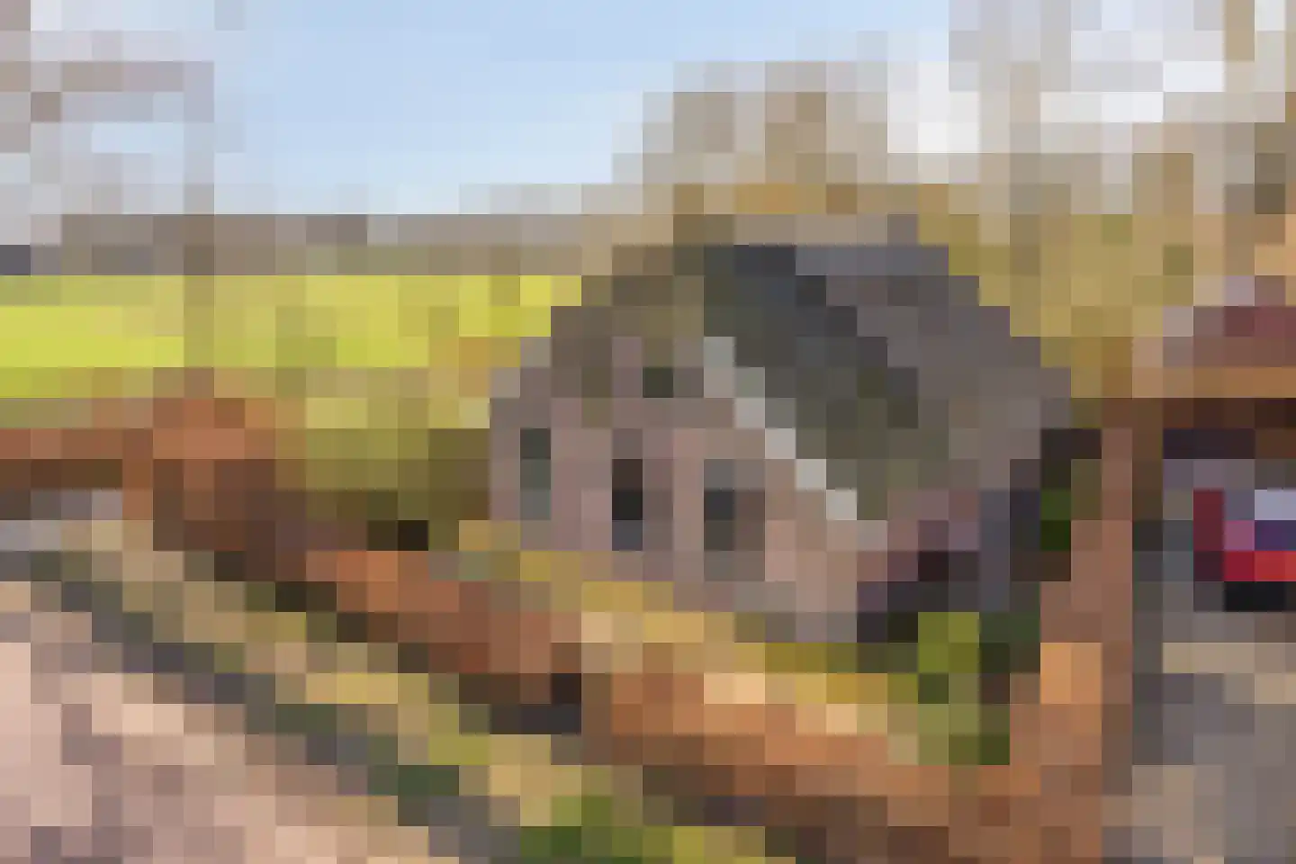 Leggeloo 36 Dwingeloo thumbnail 37