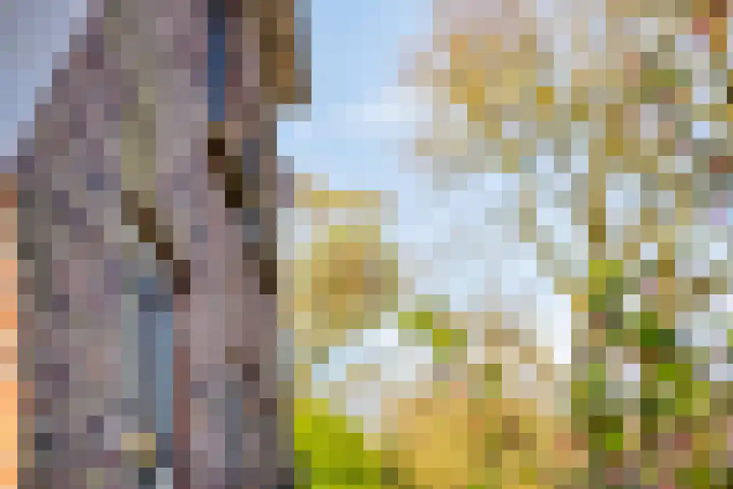 Leggeloo 36 Dwingeloo thumbnail 38