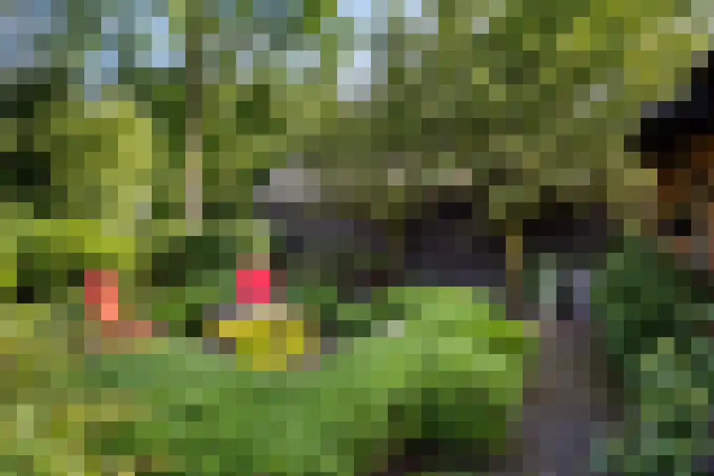 Leggeloo 36 Dwingeloo thumbnail 38