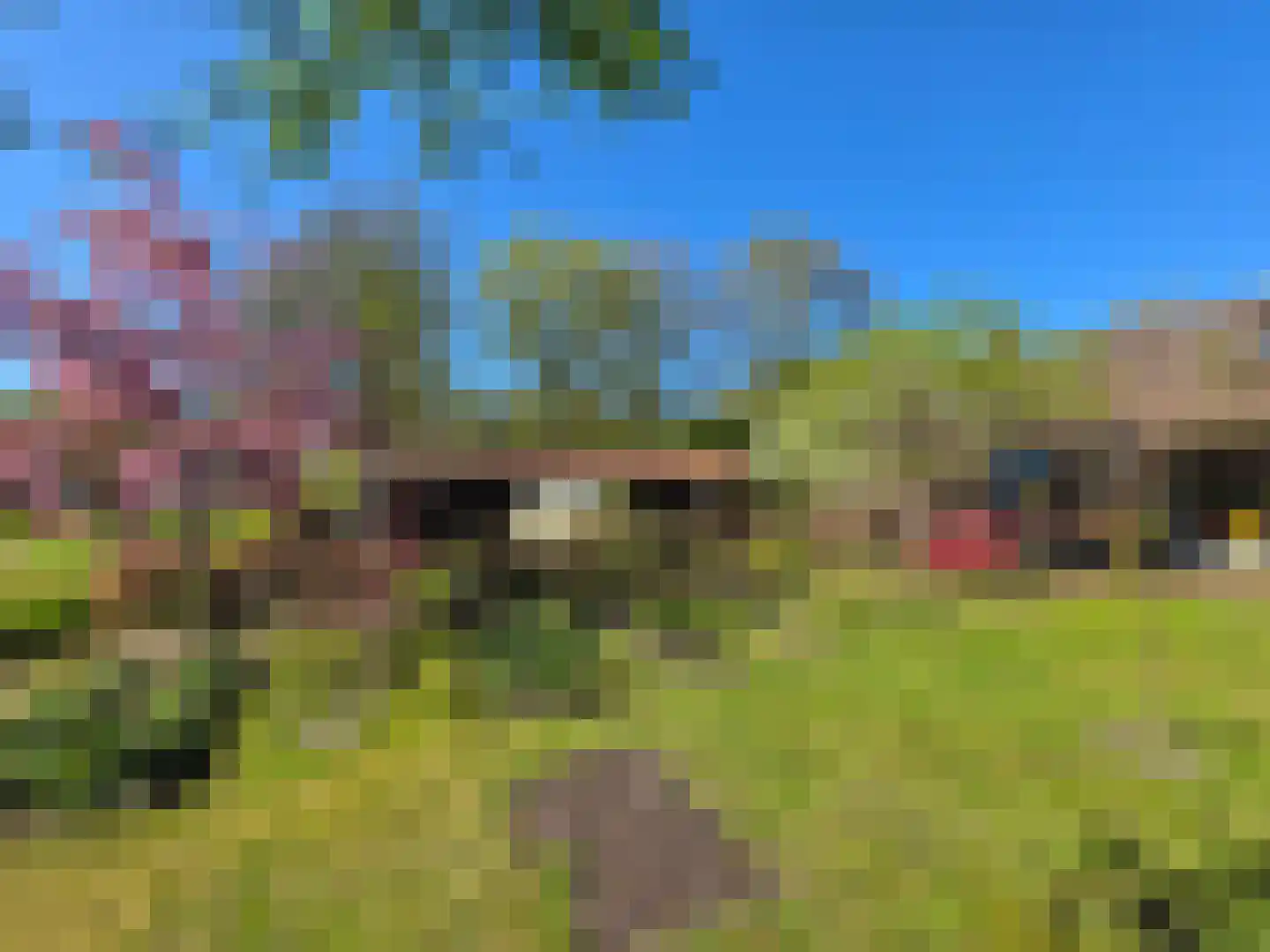 Leggeloo 36 Dwingeloo thumbnail 4