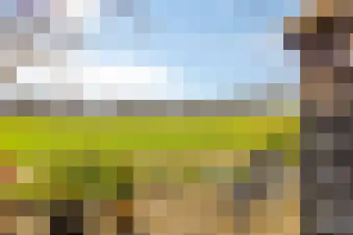 Leggeloo 36 Dwingeloo thumbnail 4