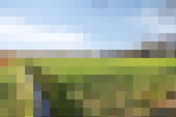 Leggeloo 36 Dwingeloo thumbnail 42