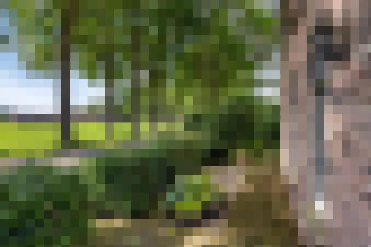 Leggeloo 36 Dwingeloo thumbnail 43