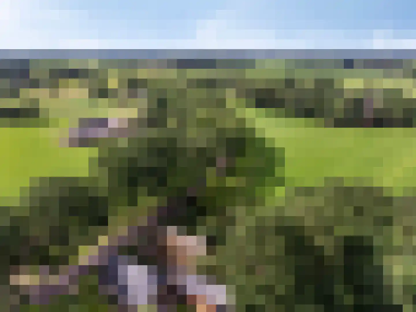 Leggeloo 36 Dwingeloo thumbnail 45