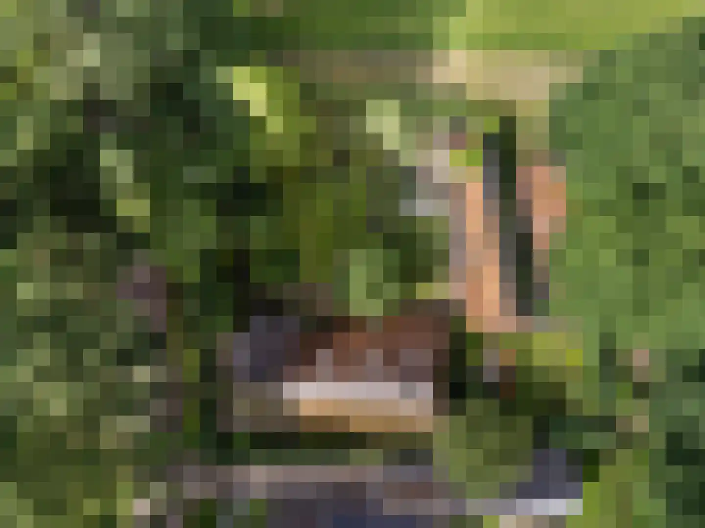 Leggeloo 36 Dwingeloo thumbnail 47