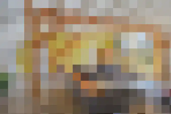 Leggeloo 36 Dwingeloo thumbnail 5