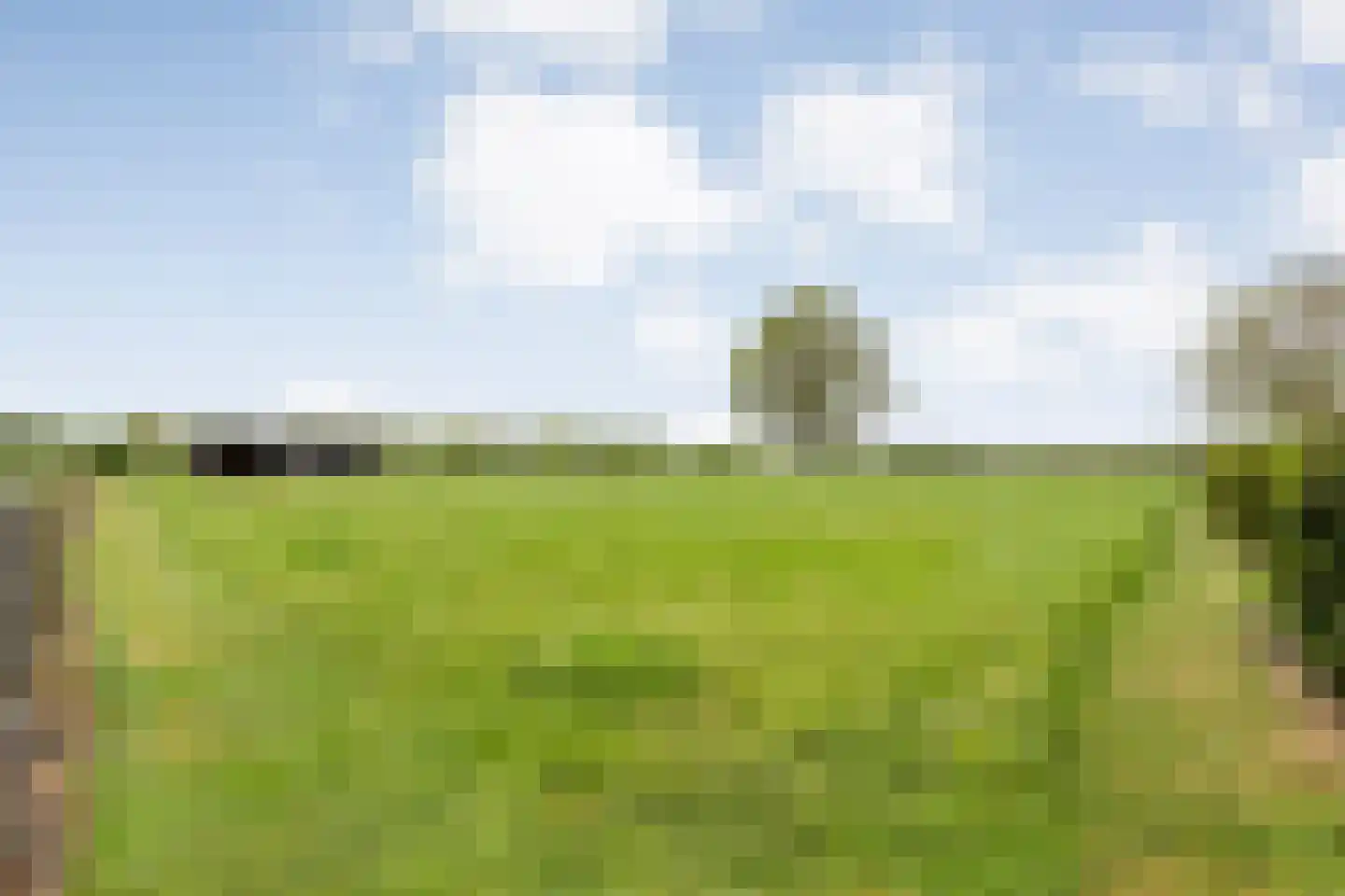 Leggeloo 50 Dwingeloo thumbnail 102