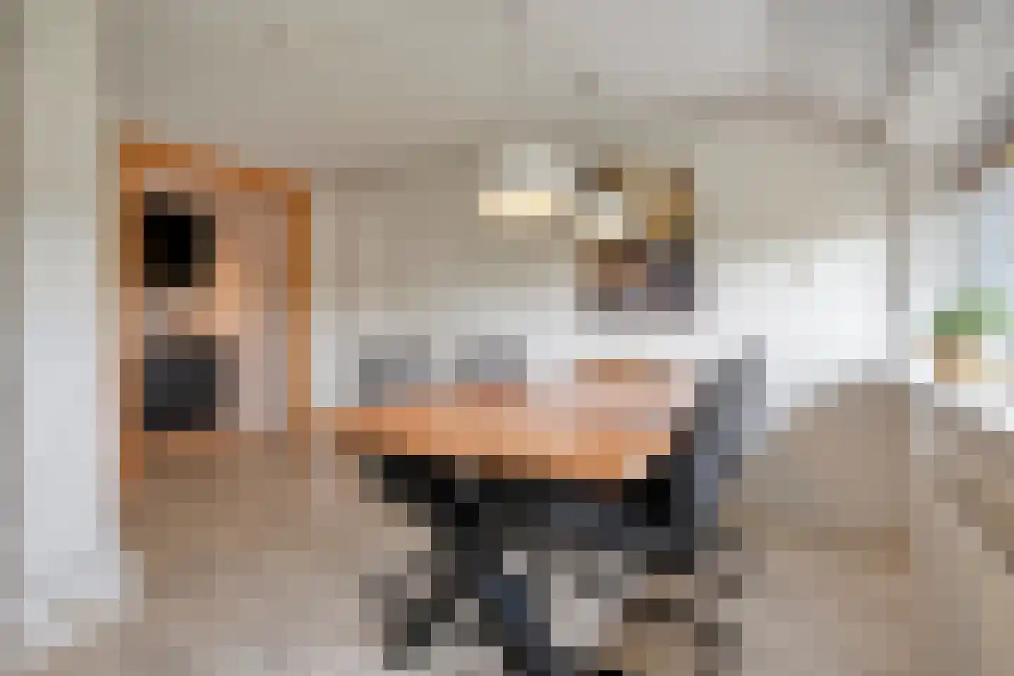Leggeloo 50 Dwingeloo thumbnail 60