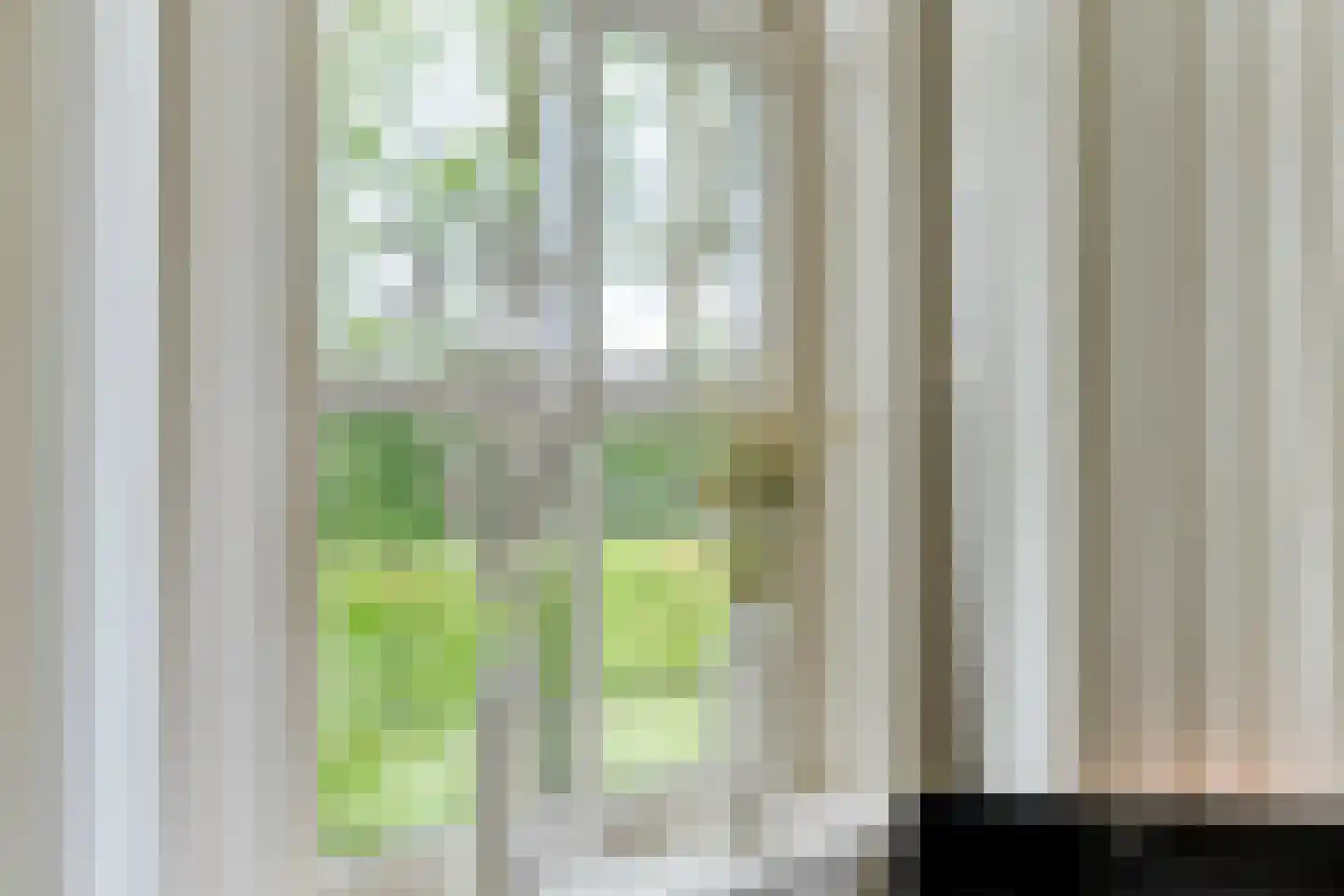 Leggeloo 50 Dwingeloo thumbnail 70
