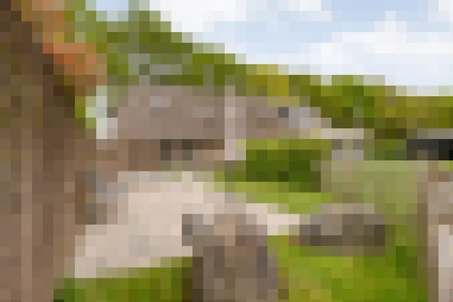 Leggeloo 50 Dwingeloo thumbnail 80
