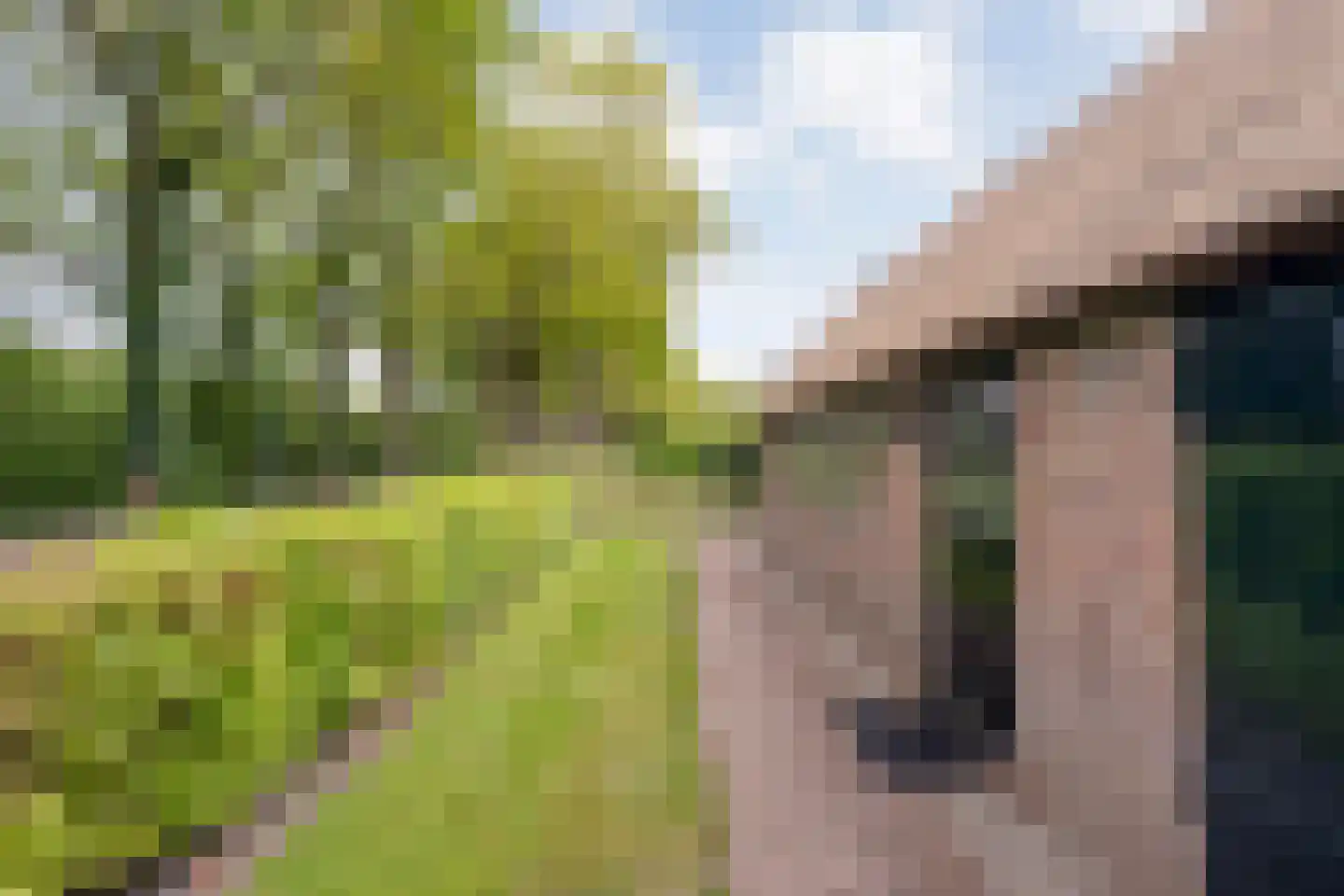 Leggeloo 50 Dwingeloo thumbnail 93