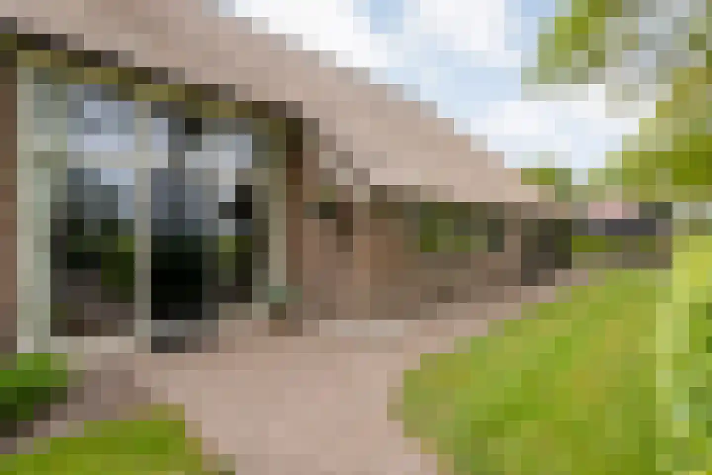 Leggeloo 50 Dwingeloo thumbnail 94