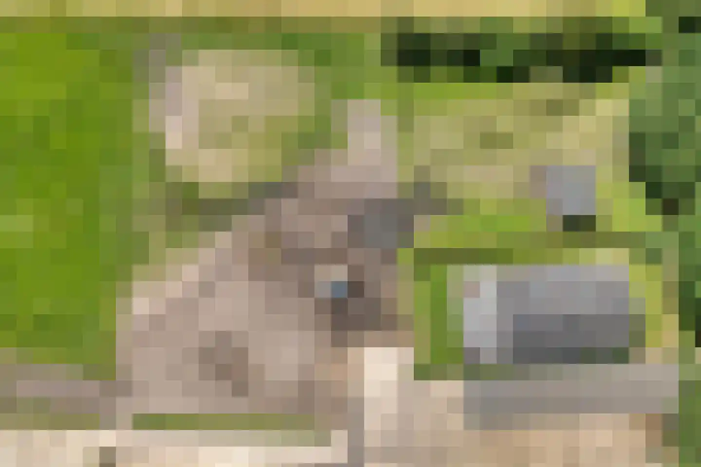 Leggeloo 55 Dwingeloo thumbnail 10